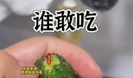 52吃瓜爆料免费吃瓜视频,免费畅享热门吃瓜视频盛宴